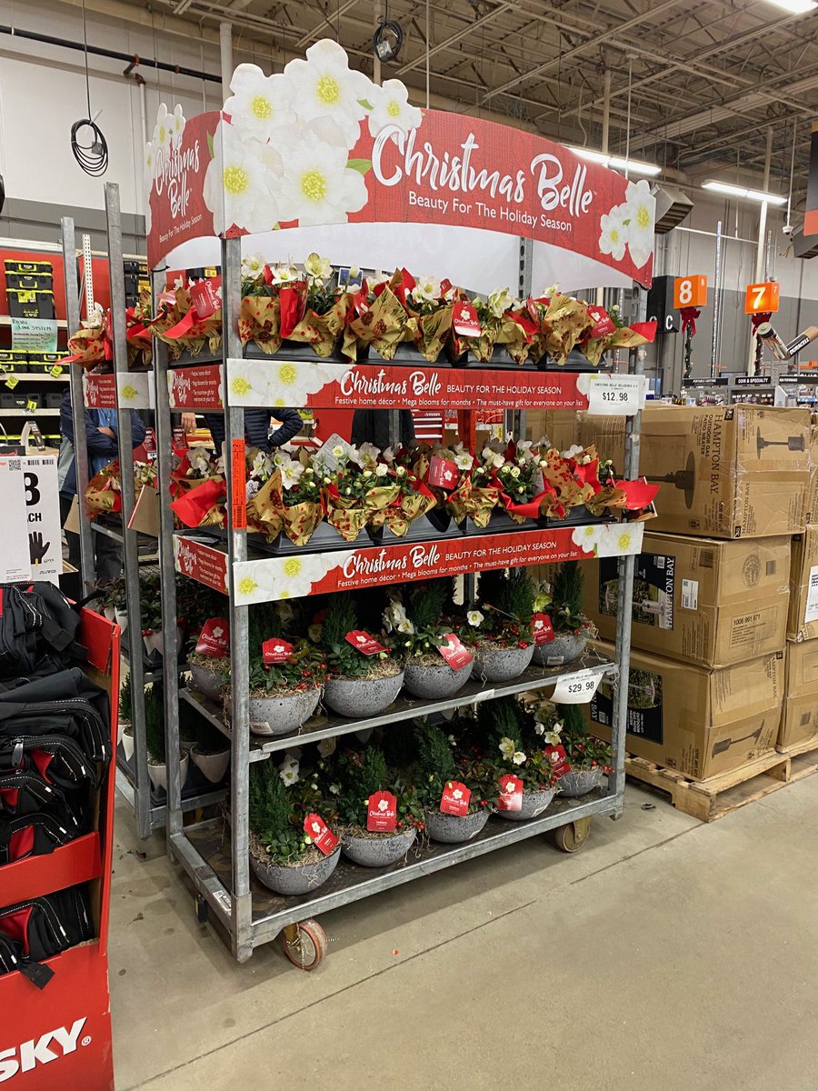 Stinchcomb Nursery Service tweet media