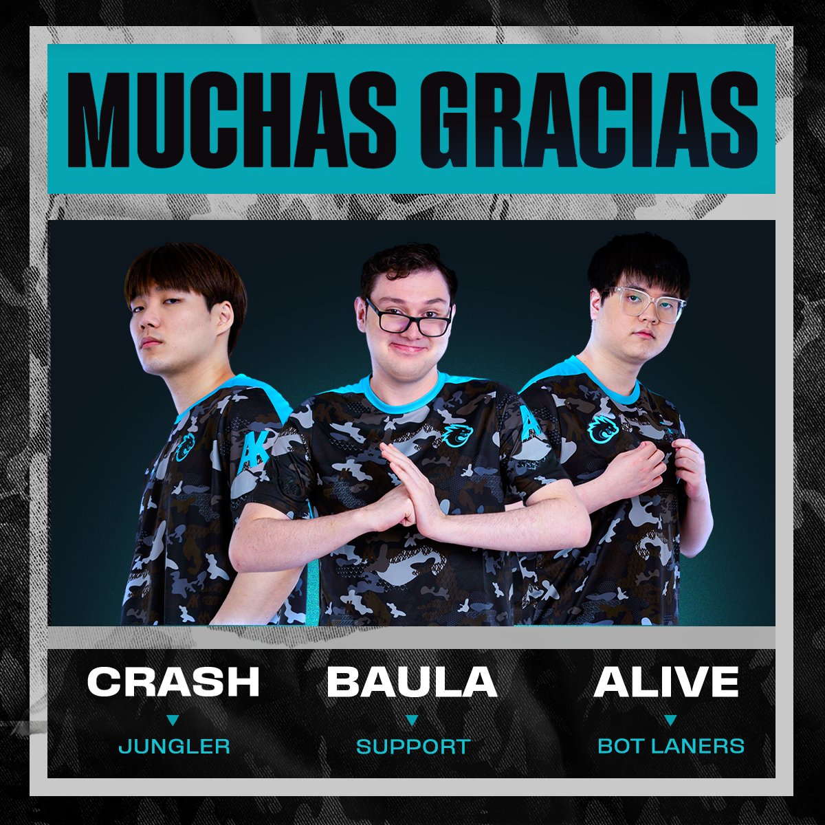 All Knights tweet media