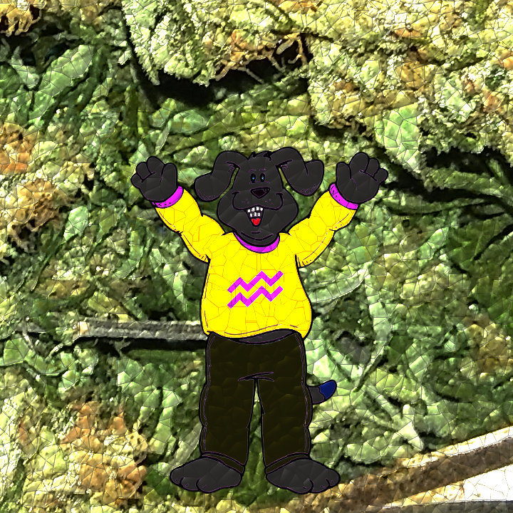 Dic_Inu's tweet image. #Aqua makes some great #Waterhash 

$XLM