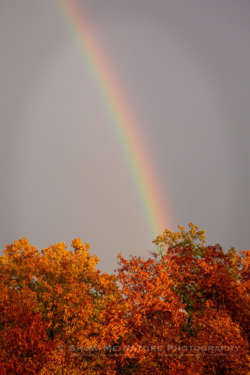 ShowMeNature's tweet photo. For Evening: "Pot of Gold" https://t.co/7vTtOZcMK3 #Missouri #Lake_of_the_Ozarks #rainbow #fall_colors #nature #photography https://t.co/LJ1fQWZEfk
