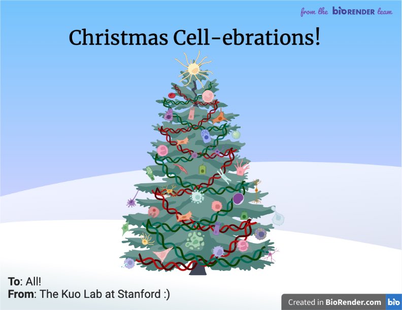 samiraadel_'s tweet photo. everyone appreciate this holiday card i made :) #sciencegreetings @BioRender 🎄🎁🔬 https://t.co/gjRlZrlpAv