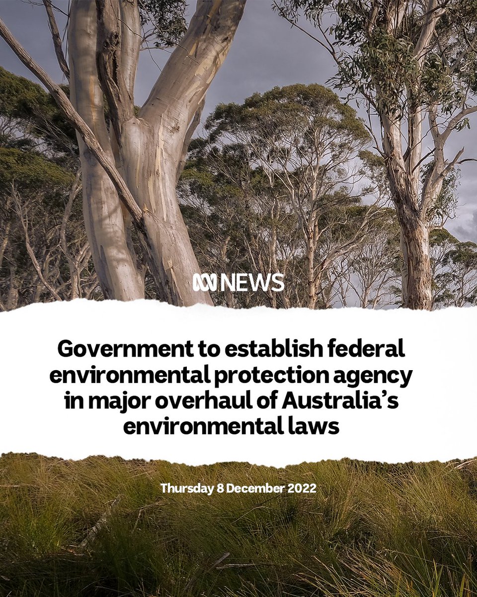 Anthony Albanese tweet media