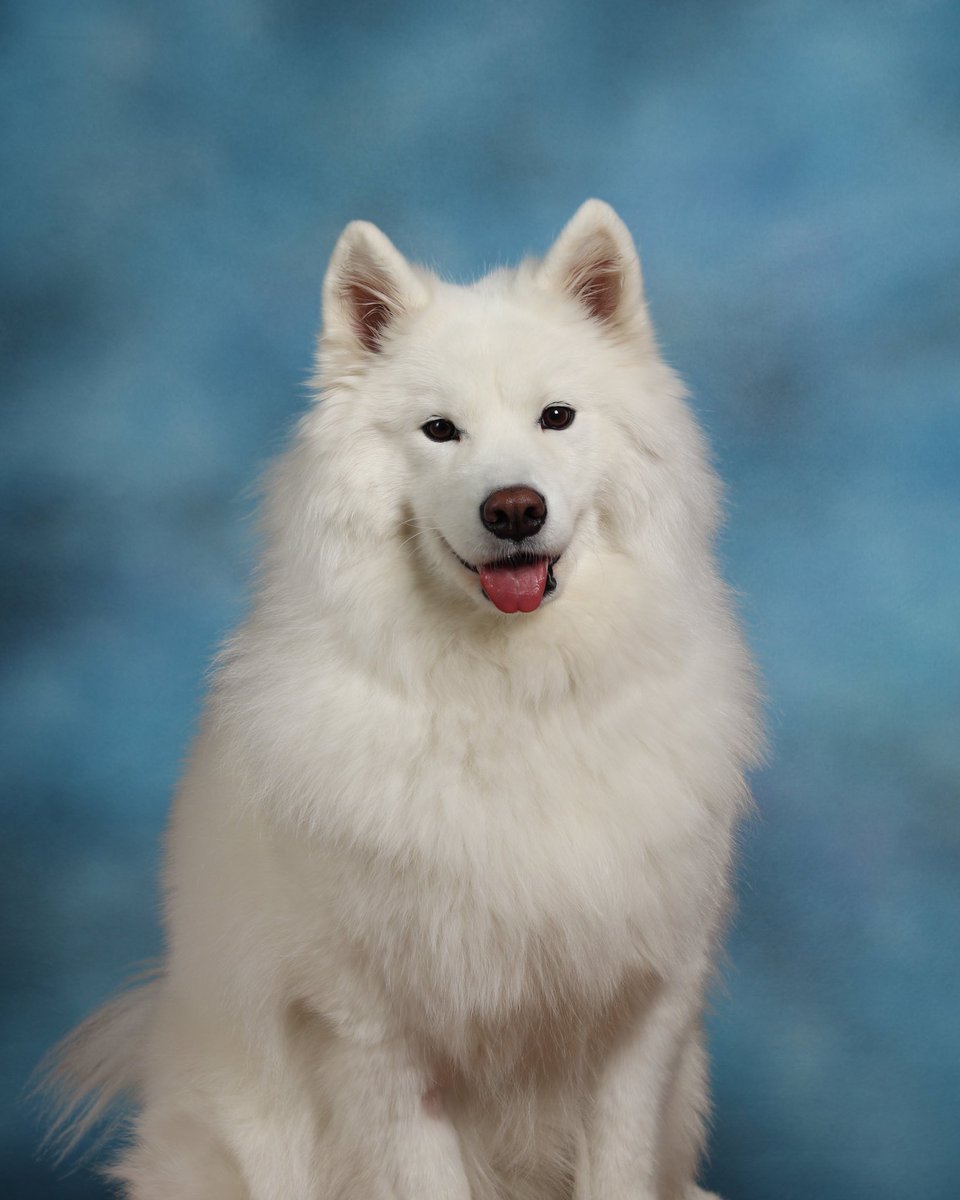 This year’s <a href="/LZHSyb/">LZHS Yearbook</a> photo! 🥰