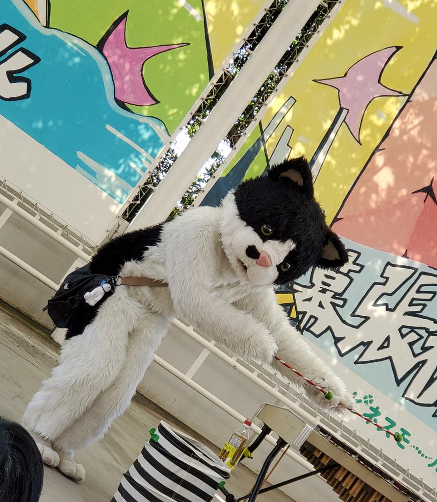 9kdns9's tweet photo. 3年前😻
#むぎ猫
#mugithecat
#むぎかっこねこ https://t.co/tetau47JNj