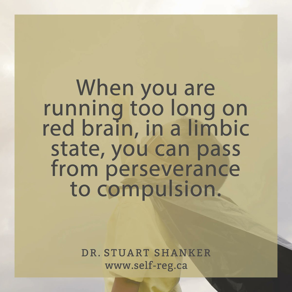 Self_Reg's tweet photo. "When you are running too long on red brain, in a limbic state, you can pass from perseverance to compulsion." ~ Stuart Shanker
https://t.co/GGjAraB4We
#ShankerWisdom #SelfReg #SelfRegulation #LimbicBehaviour https://t.co/EIfP0gf3Kl