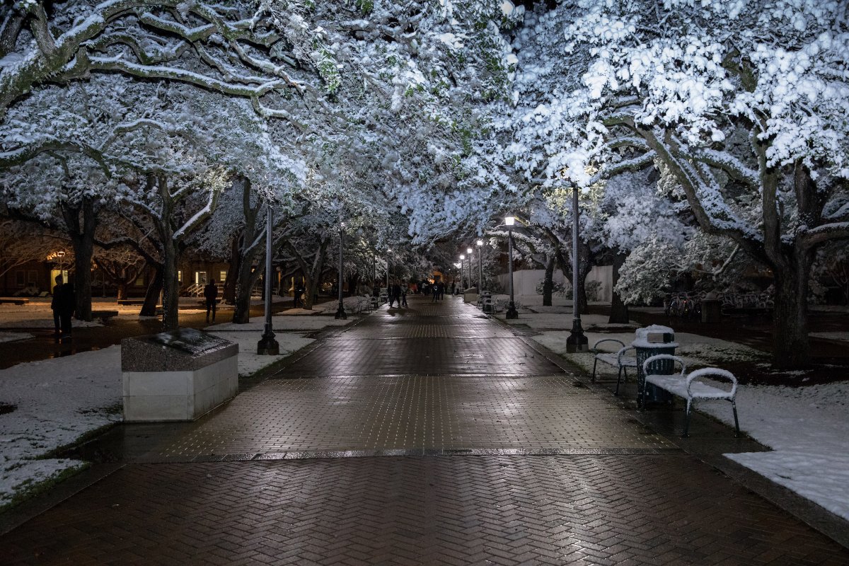 Texas A&M University tweet media