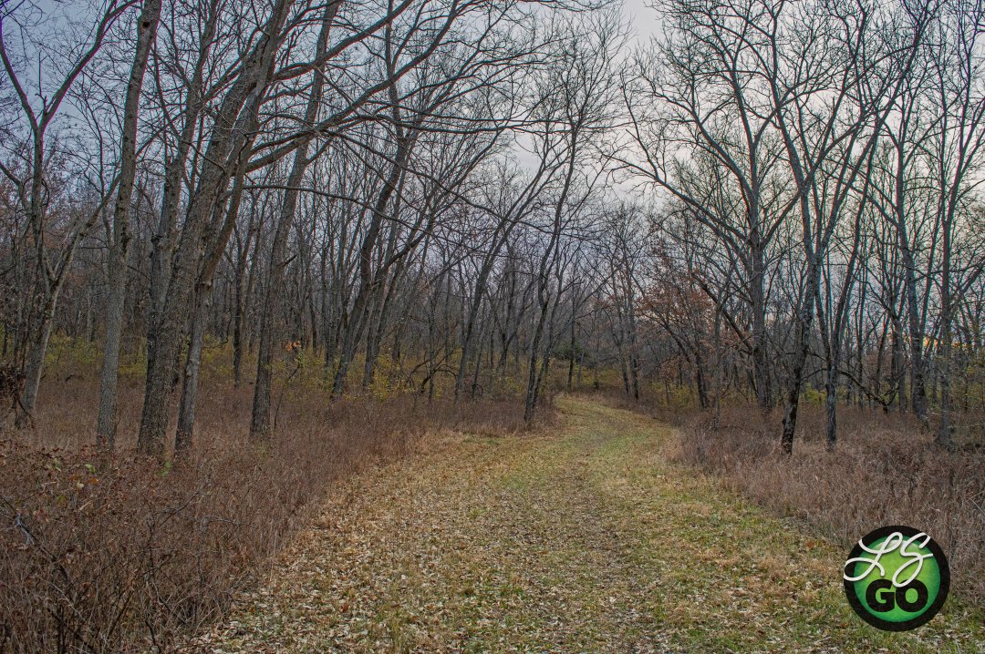 leessummitgo's tweet image. The Longview Horse/Hike Trail is a forested, 1-mile, one-way path through bottomland forest that leads to the Longview Horse Park. It crisscrosses several small streams and backwater lagoons of Longview Lake. Wildlife is abundant. bit.ly/3iCEaoe