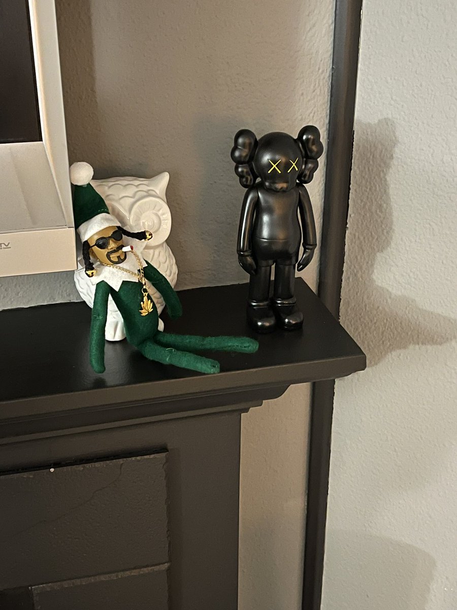 VONBAER's tweet image. Hahaha! It came! #SnoopOnAStoop #festive