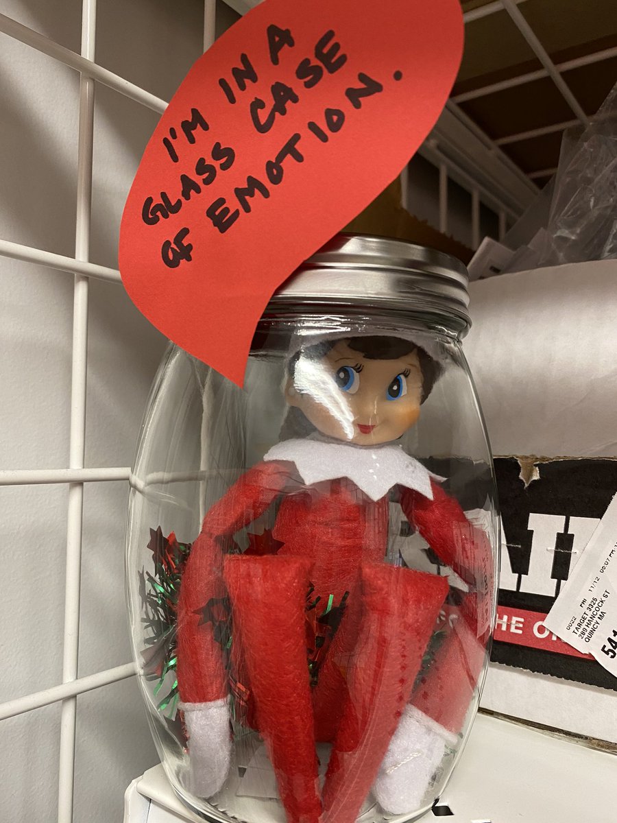 Maegen Laffey tweet media