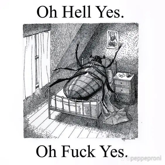 #048 - the metamorphosis by franz kafka, do i even need to say it 10/10