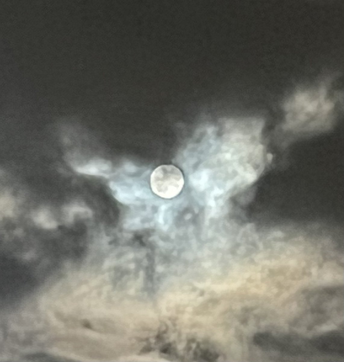 JEBurc's tweet image. #FullMoon