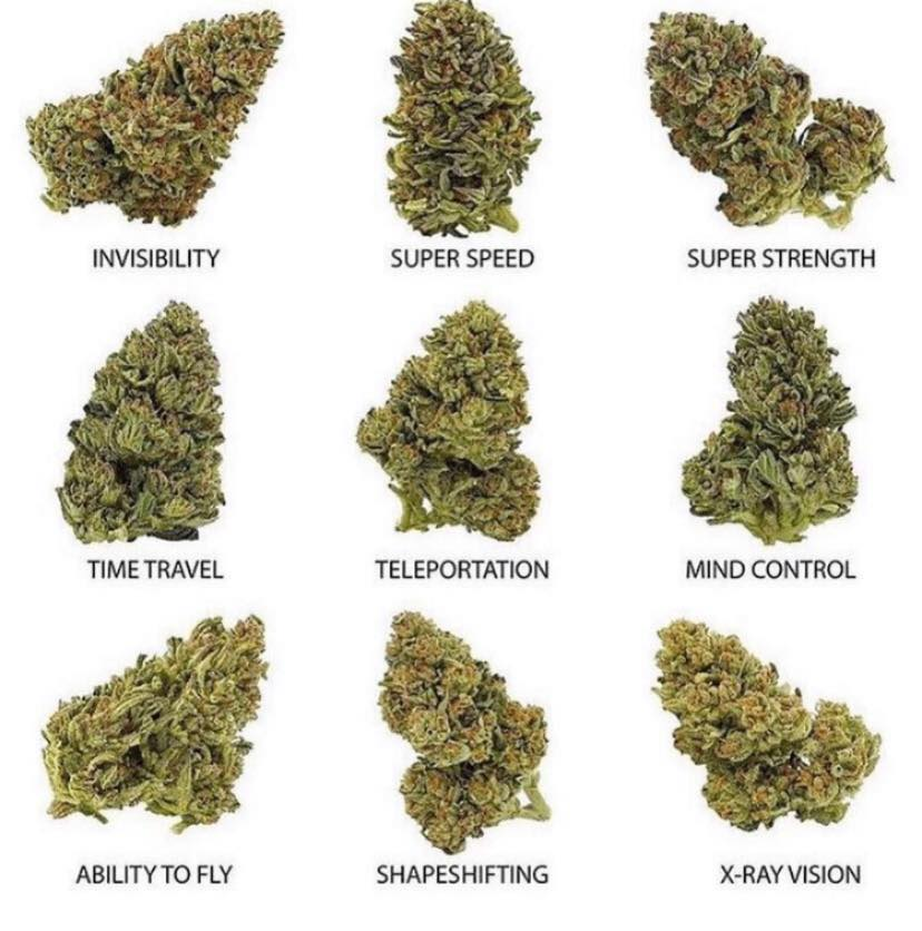 You get to have 2 which are you choosing?