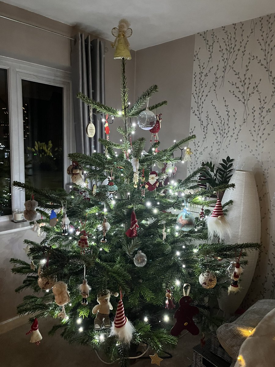 Lindsey Evans tweet media