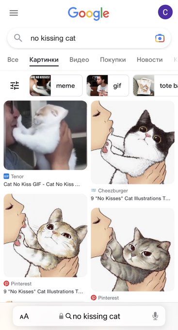 Like if your cat does &ldquo;no kissing&rdquo; https://t.co/5h1rx5tSiP<a href="/tag/%D0%BD%D0%BE%D0%B2%D1%8B%D0%B9%D0%B0%D0%B2%D0%B0%D1%82%D0%B0%D1%80"class="tags"><span>#новыйаватар</span></a>