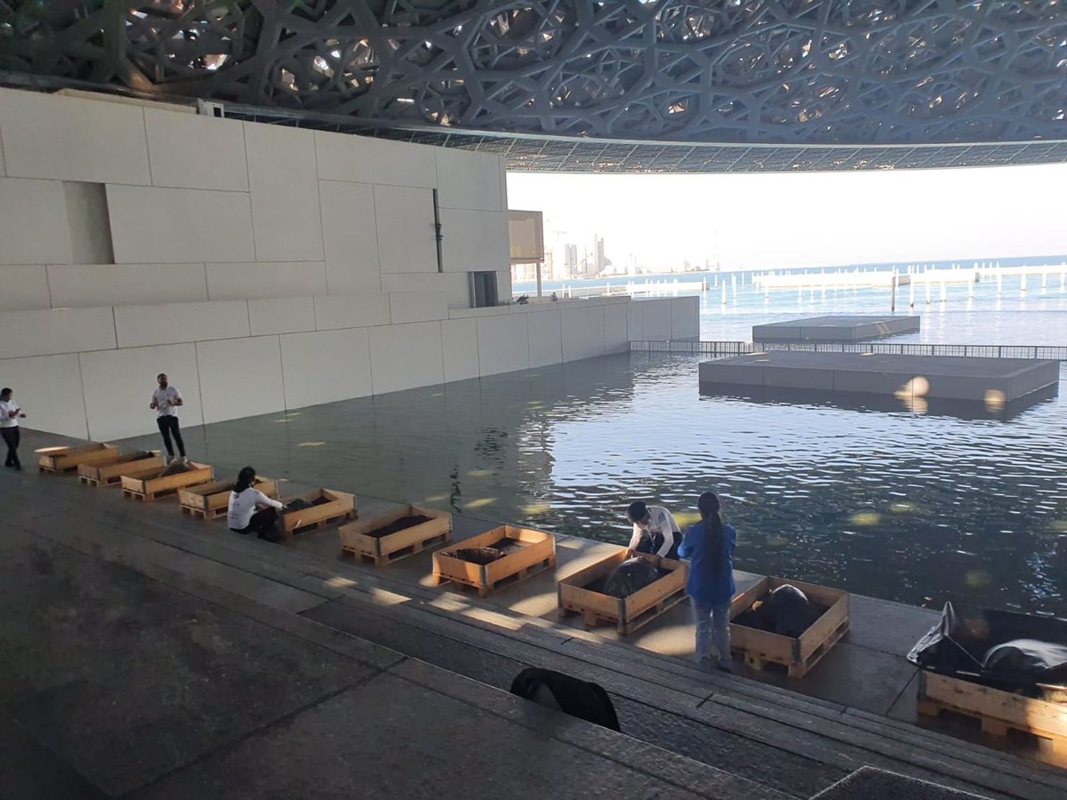 Fearless20s's tweet photo. This was my morning yesterday. A pre-release turtle rehabilitation area at Louvre Abu Dhabi, in the waters surrounding the museum, has been created. This is the last step of the rehabilitation cycle before the turtles are released into the sea
#Savetheturtles #LouvreAbuDhabi https://t.co/E8w49z8nhr