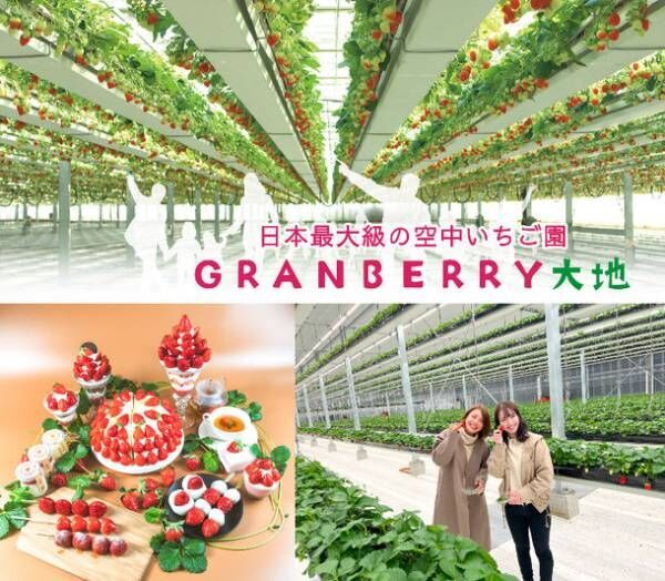 IBK44's tweet photo. 日本最大級の“空中いちご園”「グランベリー大地」
茨城県・常総市に12／17グランドオープン 

ウーマンエキサイト記事 https://t.co/u6ao9Nbq2h #カフェ #クリーム #アルコール #小学生 #ベビーカー https://t.co/3hzL03QxfK