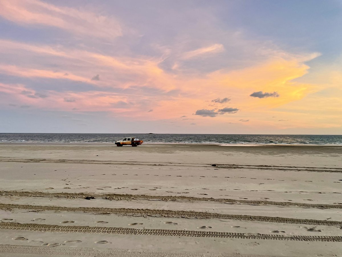 Grace Nye-Butler tweet media