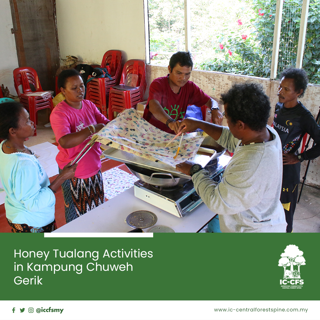 ICCFSMY's tweet photo. During the harvesting of Tualang honey in Kampung Chuweh, Gerik, Perak, the men among the Orang Asli community go out to harvest the honey while women focus on the manufacturing of beeswax to produce wax paper.
#ICCFS #JPSM #CentralForestSpine #tualanghoney #beeswaxproducts https://t.co/I06FRtx749
