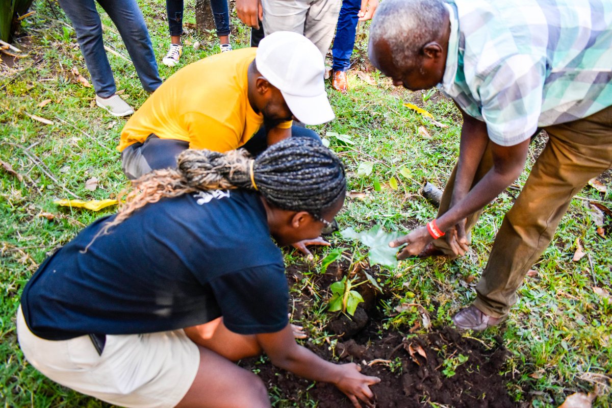 We depend on nature for our food, shelter, livelihoods and wellbeing and yet we continue to postpone taking decisive action to protect
our ownselves #COP15montreal <a href="/BlueEarthOrgan1/">Blue Earth Organization</a>
#1MillionSpecies 
<a href="/TheGreenPulseKe/">The Green Pulse🇰🇪</a>