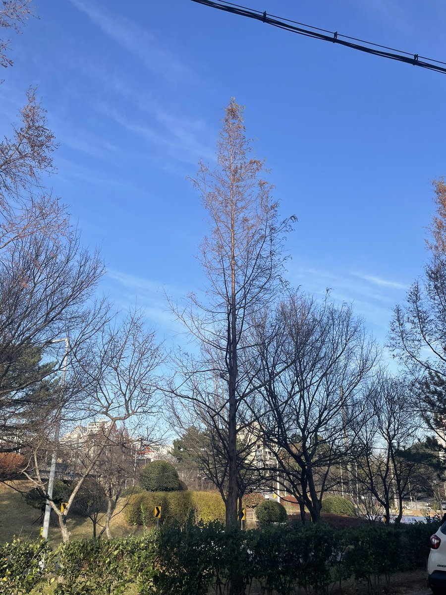 오랜만에 장유.
날씨 진짜 좋네 🤗
#김해 #장유 #섹트 #초대 #초대남