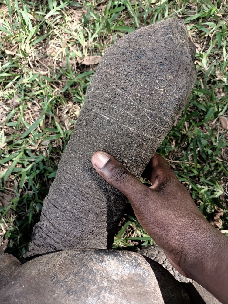 kitui djothefu tweet media