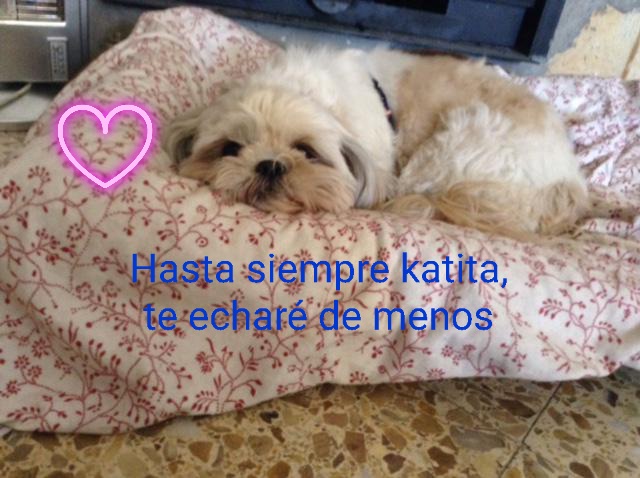 Te he querido toda tu vida,  te amaré el resto de la mía, descansa pequeña.