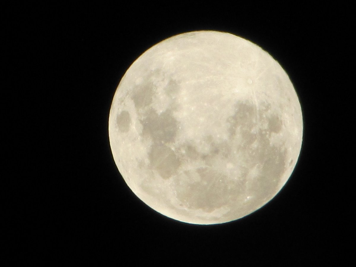 CarlosALima62's tweet photo. Última lua cheia de 2022
#olhem a lua https://t.co/SJkyvD7vDh