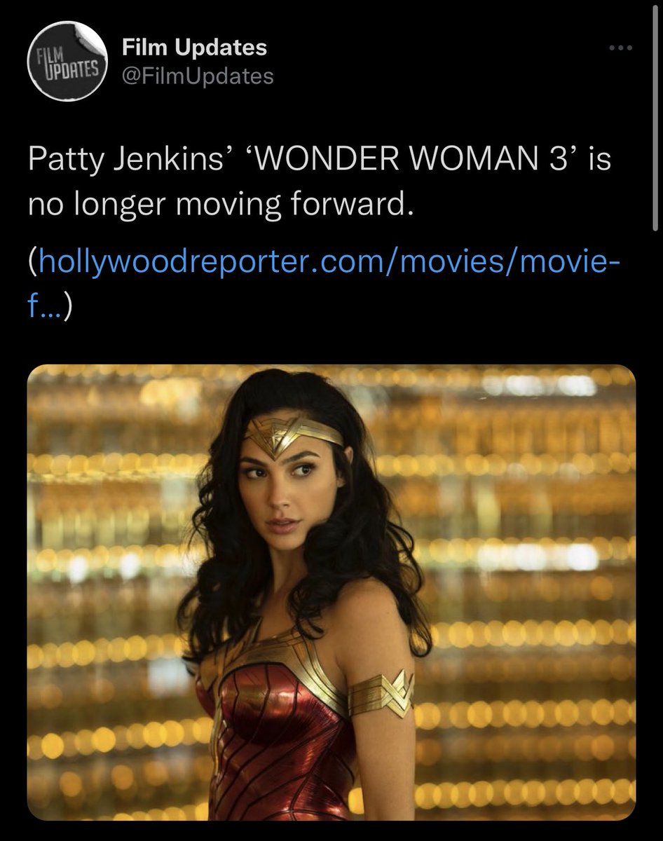 hzjoe03's tweet photo. NAH CAN YOU IMAGINE HOW GADOT FEELS 😭 https://t.co/WfT4y1AT50