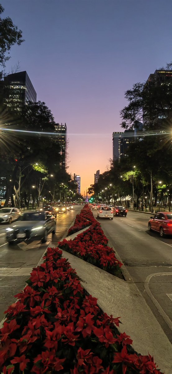 CesserVazquez's tweet photo. Distante placer...
De una mirada, frente a otra, esfumadose... https://t.co/S3Wf8NPTyX