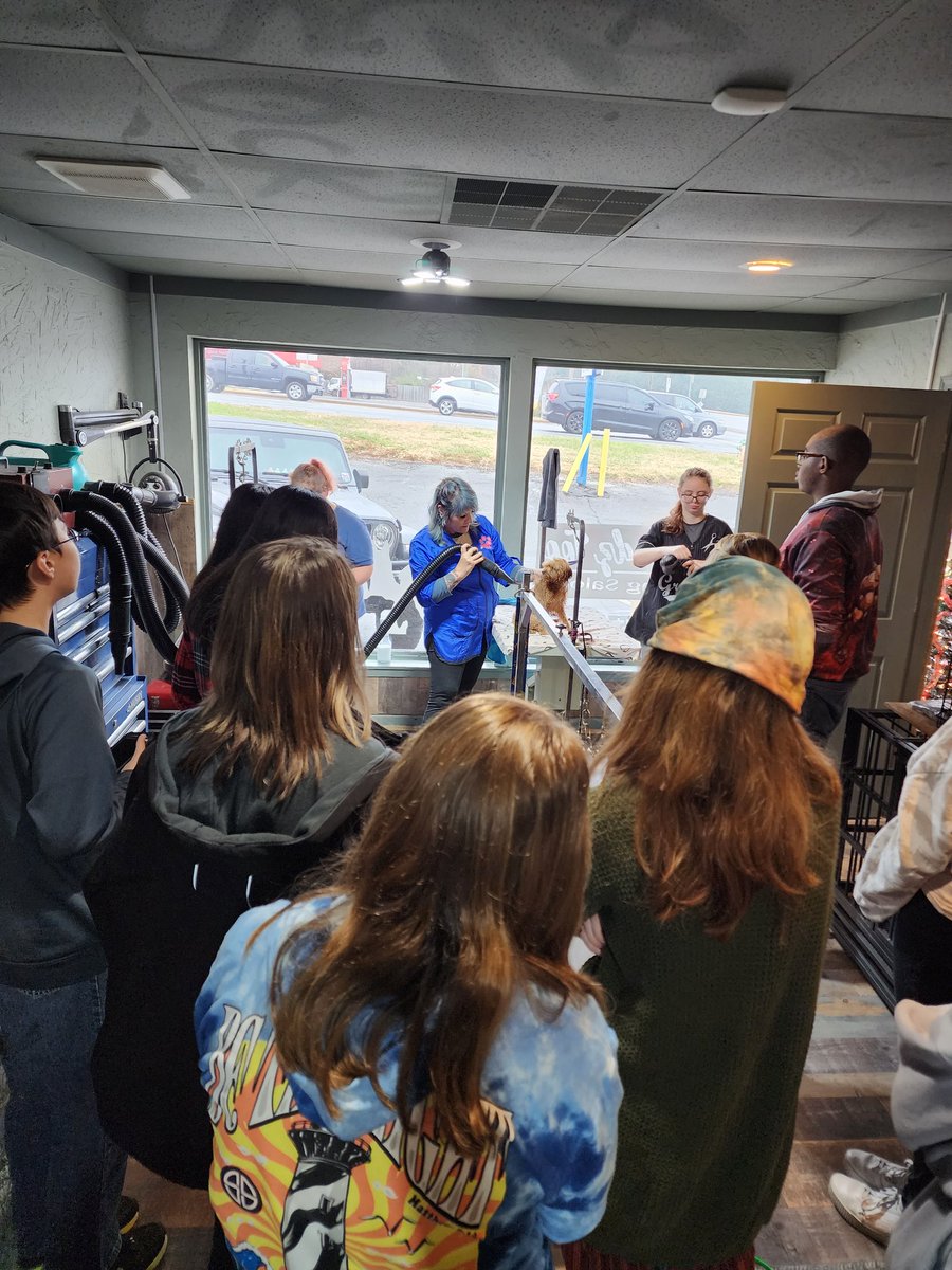 ledford_ffa's tweet photo. We had an opportunity to visit a dog groomer this week as we learned how to care for dogs in our Companion Animal Science 2 class. #learningtodo 🐶 @LedfordProud https://t.co/Dxh9bXWUea