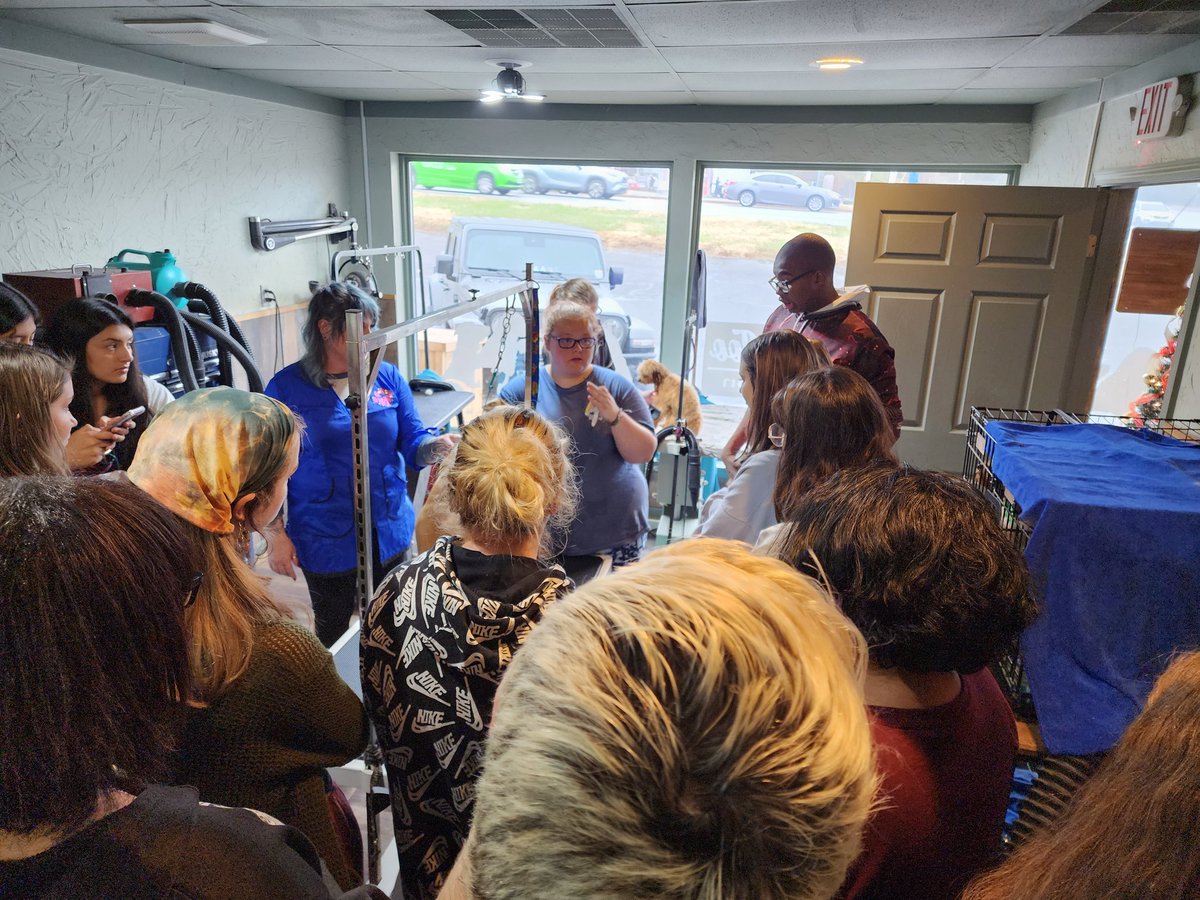 ledford_ffa's tweet photo. We had an opportunity to visit a dog groomer this week as we learned how to care for dogs in our Companion Animal Science 2 class. #learningtodo 🐶 @LedfordProud https://t.co/Dxh9bXWUea
