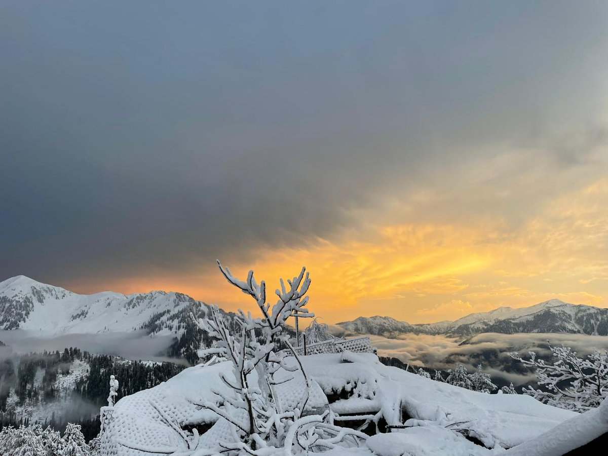 Colours in Snow #Kashmir 

#Snowdrop #SnowMan #snowballpower #WinterCandyJAEMIN #WinterHouse #Thursday #decentralized #NaturePhotography #nature #golts #Christmas #lindol #PORSUI #يحدث_الان #โหนกระแส #TREASURE #Trending #vunzigewoensdag #PICO8 #Loadshedding