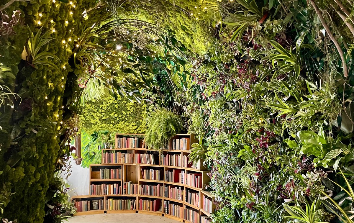 Christmas Books! On BOOKS &amp; WOMEN I recommend a fabulous book written by a woman in the categories of memoir, novel, short stories, poetry (shoutout <a href="/shaunabarbosa/">sb</a> I'm obsessed with CVB) and biography. Have fun!