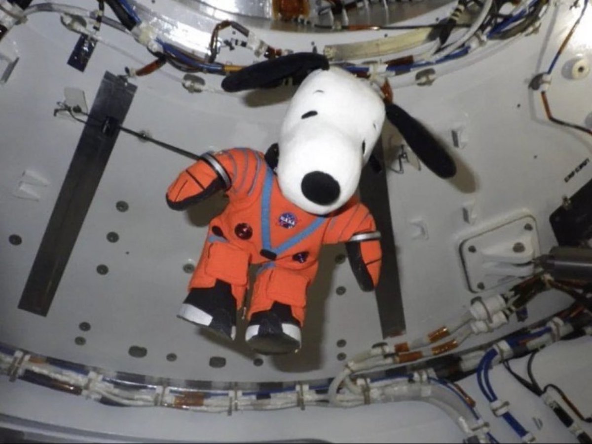 whotfisjovana's tweet photo. SNOOPY WENT TO SPACE?!!! https://t.co/JQfZHqiZSR