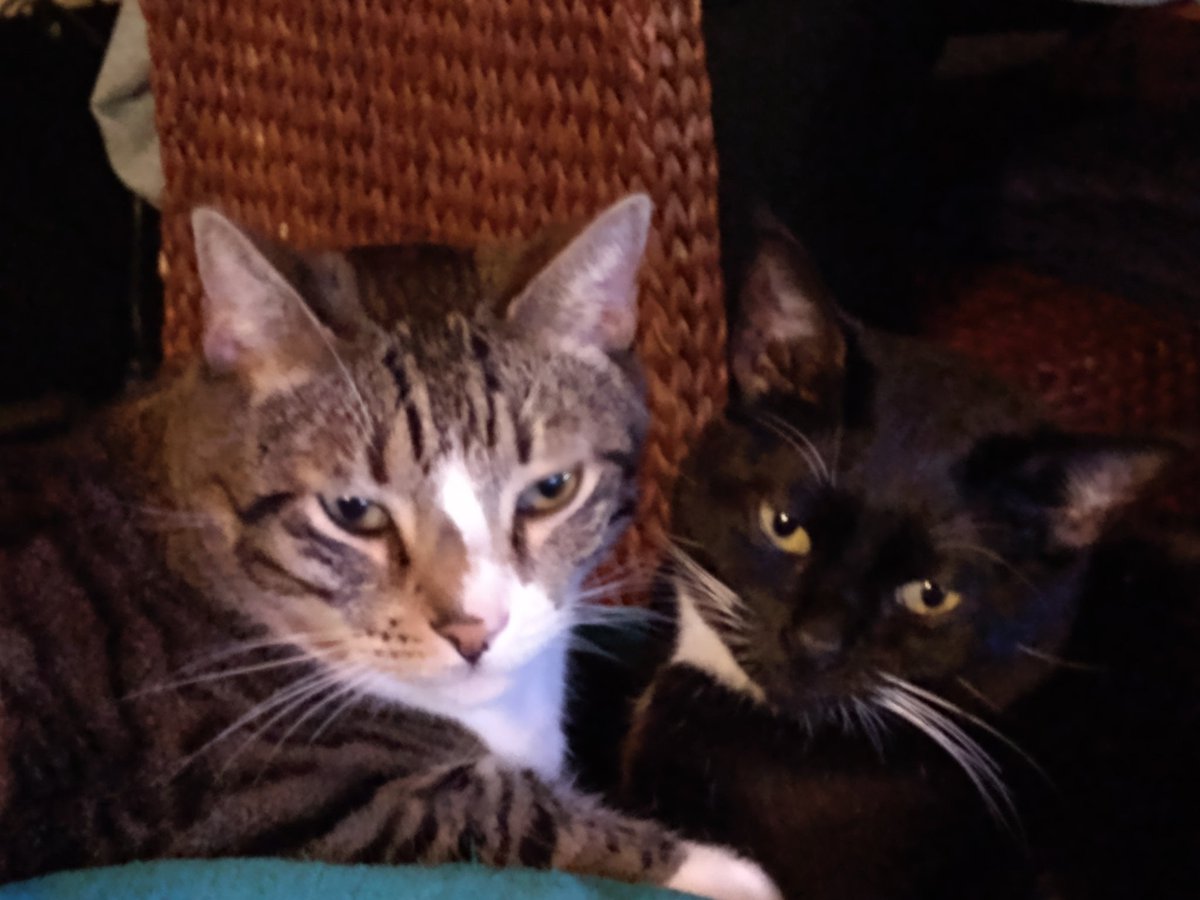 TiggerTells tweet picture
