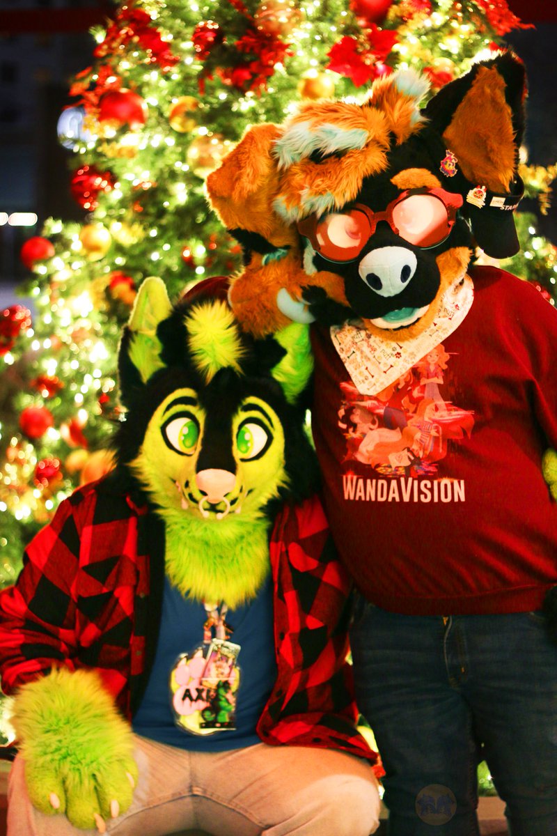 A MASSIVE congrats to <a href="/RonniePawbucks/">Ronnie</a> and <a href="/Axelthehusky1/">Axelthehusky</a> on their engagement! #furry #furries #fursuits #fursuit #mff22 #mff2022 #furryengagement