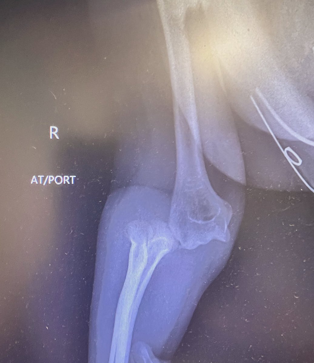 Reinaldo Colon-Morillo, MD tweet media