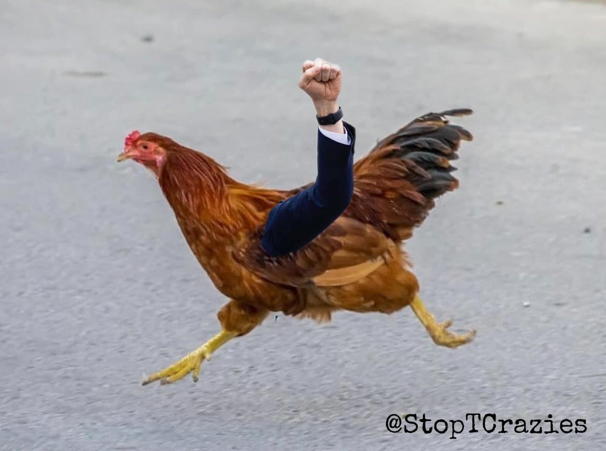 away_whirl's tweet photo. @HawleyMO Joshie, you are multitasking….running, raising your fist, and talking….how special… https://t.co/4sIsThEqKF