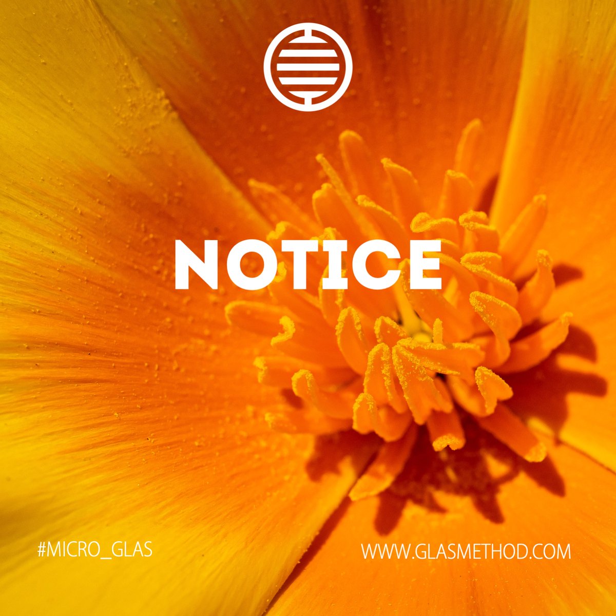 glaslife's tweet image. #oneword #micro_glas is #NOTICE. From Latin NOSCERE meaning "come to know, to get to know, get acquainted (with),". When we notice something, we begin to relate to it; the more we notice - the more we get to know and understand situations, people and things.