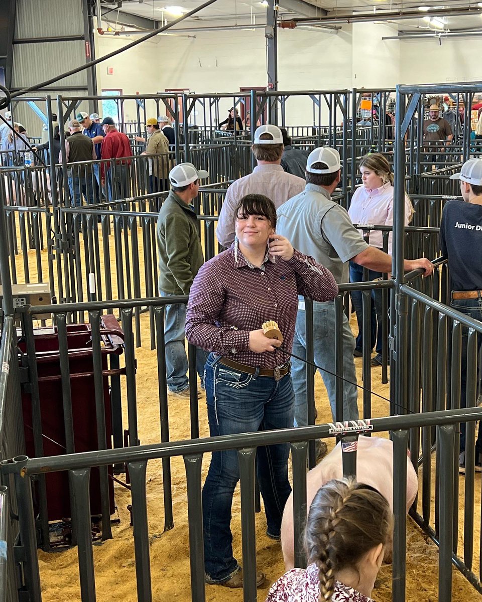 Congratulations to our Market Swine Team at the Williamson County Livestock Show! Eli- 1st and Grand Champion Duroc!!!! Hailey- 1st Hampshire, 3rd Dark OPB, and 3rd Cross. Kendall - 3rd Cross, Hollie - 4th Yorkshire, Shelby -8th cross, Mason, 9th cross, andJosh, 10th cross. 🐖