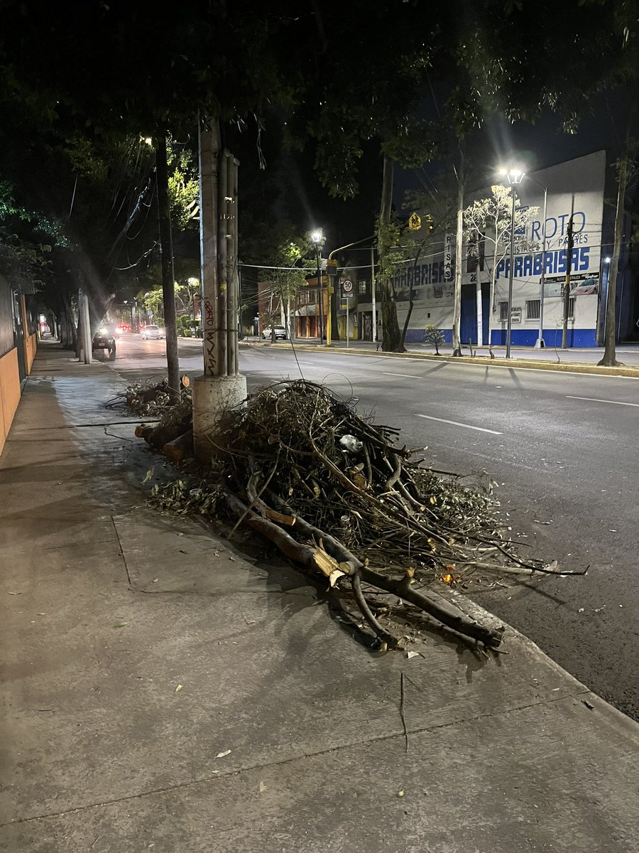PaoloBO8's tweet photo. Otra vezzzzz????? @Alcaldia_Coy @giogutierrezag  Avenida Pacifico frente al 249 en Colonia el Rosedal. Según vecinos fue un árbol de adentro del condominio, quien autorizó??? @PAOTmx 😡😡😡😡 https://t.co/HisXLD16CV