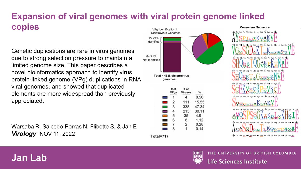 UBC Life Sciences Institute (@ubclifesciences) on Twitter photo LSI Paper of the Day☀️
A collaboration between <a href="/EricJan/">EricJan</a> lab & <a href="/LSIbioinfo/">LSI Bioinformatics Facility</a> describes a novel approach to identify virus protein-linked genome (VPg) duplications in RNA viral genomes, and demonstrates duplicated elements are more widespread than previously thought. <a href="/sciencedirect/">Elsevier | ScienceDirect</a> LSI Paper of the Day☀️
A collaboration between <a href="/EricJan/">EricJan</a> lab & <a href="/LSIbioinfo/">LSI Bioinformatics Facility</a> describes a novel approach to identify virus protein-linked genome (VPg) duplications in RNA viral genomes, and demonstrates duplicated elements are more widespread than previously thought. <a href="/sciencedirect/">Elsevier | ScienceDirect</a>