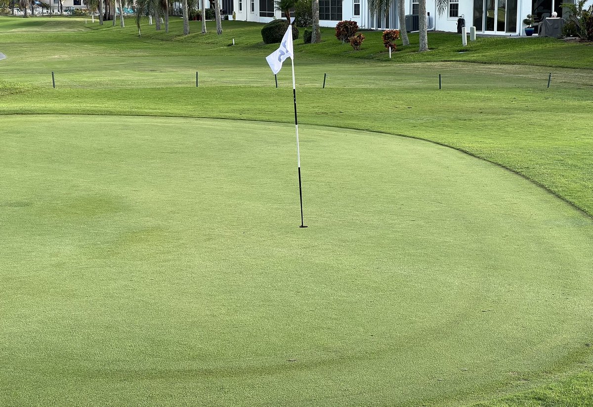TurfSolv on this course for 12 months. No insecticides or fungicides. getTurfsolv.com