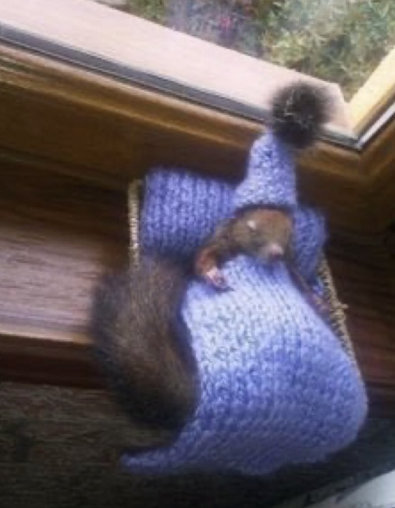 EMOTION (@ultraslut) on Twitter photo 