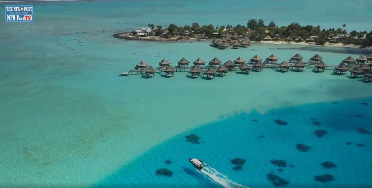 A F Plank tweet media