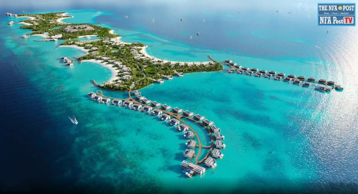 A F Plank tweet media