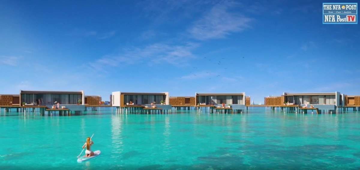 A F Plank tweet media