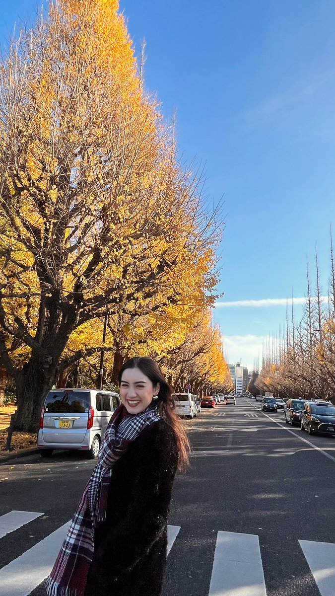 ruby1324's tweet photo. 外苑前のイチョウ並木✨
ギリギリ葉っぱ残ってた😮‍💨👍🍂 https://t.co/pm40Sm4nwT