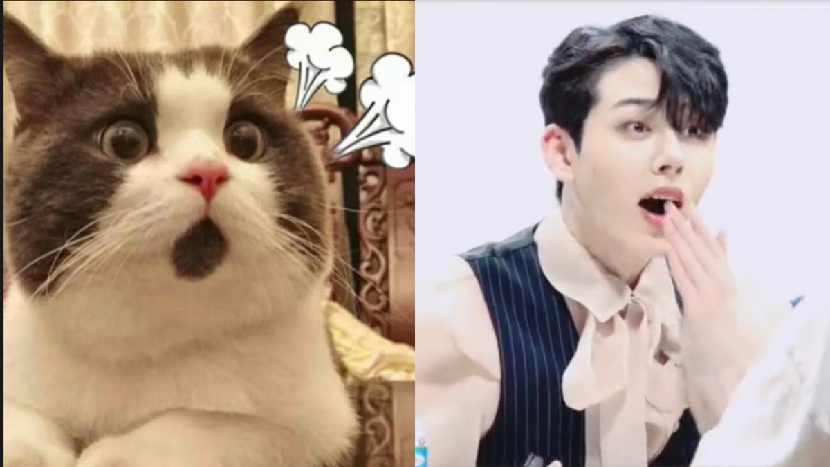 TidalLock_mm's tweet photo. 猫塑儿儿②

#정현 #이정현 #Junghyun https://t.co/KKSBIehrSz