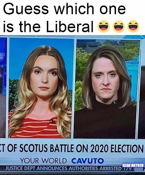 GentlemanJoke's tweet photo. @libsoftiktok Guess which one? https://t.co/p07fcokBrJ